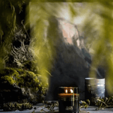 Southern Wild Co Scented Candle