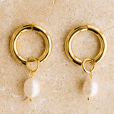 Indigo & Wolfe Allegra Gold Earrings