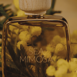 Sea Mimosa - Elegant Feminine Fragrances Inspired by the French Riviera