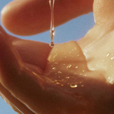 Panier des Sens Honey Body Oil